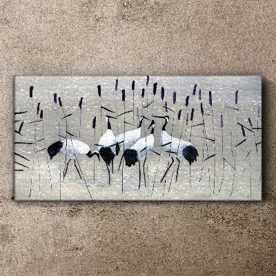 Tablou canvas Macarale albe în stuf
