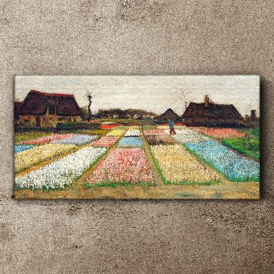 Tablou canvas Câmpuri de lalele de primăvară