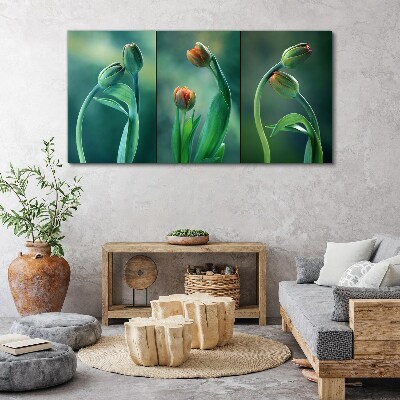 Tablou canvas Lalele în nuanțe de verde