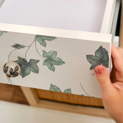 Folie autoadeziva pentru mobila Frunze de iederă