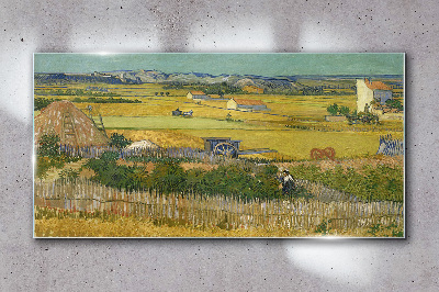 Tablou sticla Câmp de grâu
