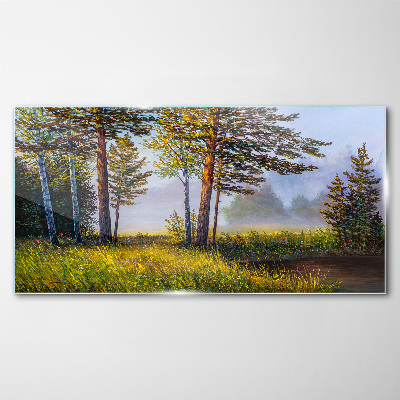 Tablou sticla Ceața de dimineață în pădure