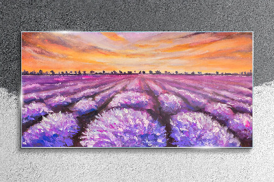 Tablou sticla Câmpuri de lavandă violet la apus
