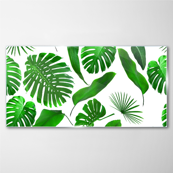 Tablou sticla Verde tropical în frunze