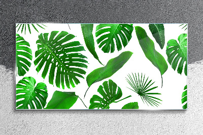 Tablou sticla Verde tropical în frunze