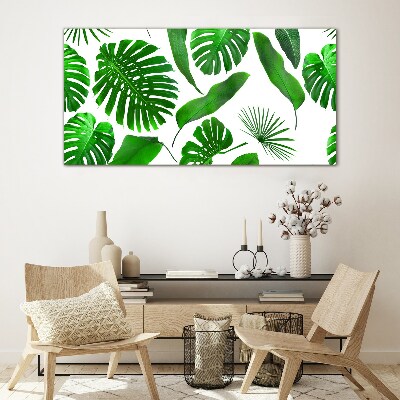 Tablou sticla Verde tropical în frunze
