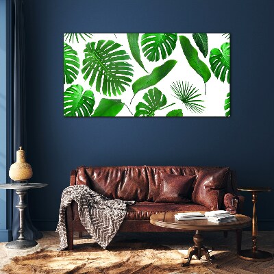 Tablou sticla Verde tropical în frunze