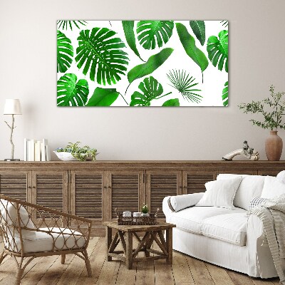 Tablou sticla Verde tropical în frunze