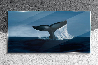 Tablou sticla Balenă pentru animale