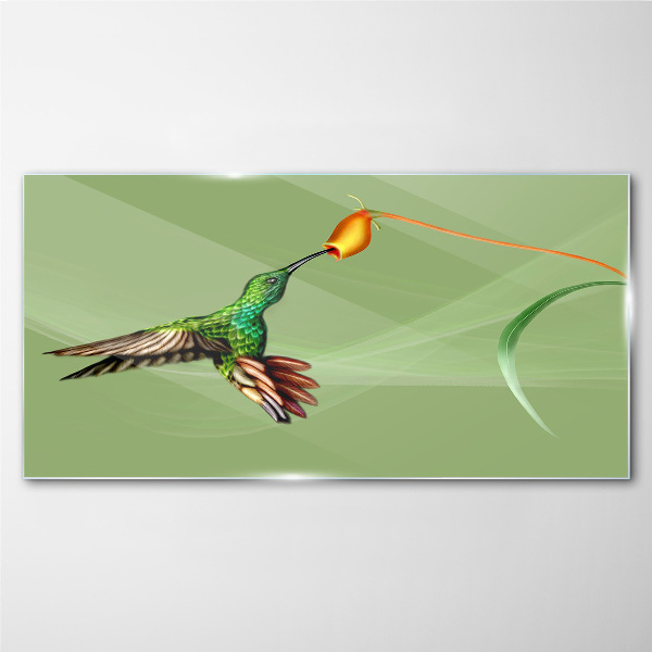 Tablou sticla Pasăre colibri la o floare