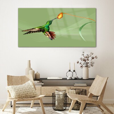 Tablou sticla Pasăre colibri la o floare