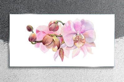 Tablou sticla Orhideea in nuante pastelate