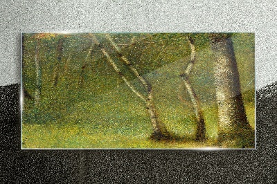 Tablou sticla Pădure verde în lumina soarelui