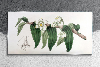 Tablou sticla Orhidee de ramură pentru desen de flori