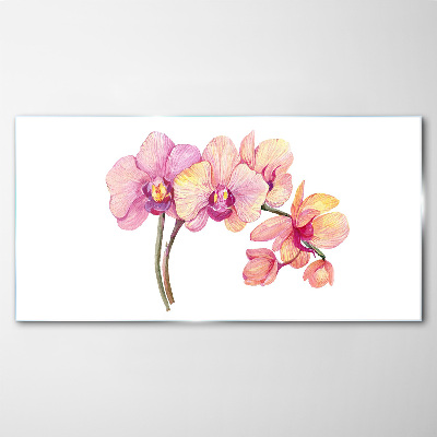 Tablou sticla Frumusețea florală a orhideelor