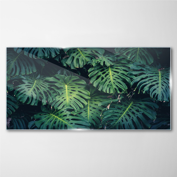 Tablou sticla Verde tropical în frunze de monstera