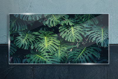 Tablou sticla Verde tropical în frunze de monstera