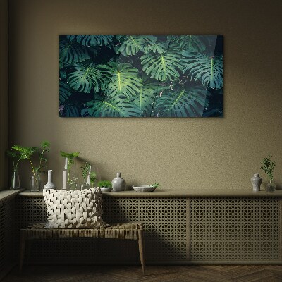 Tablou sticla Verde tropical în frunze de monstera