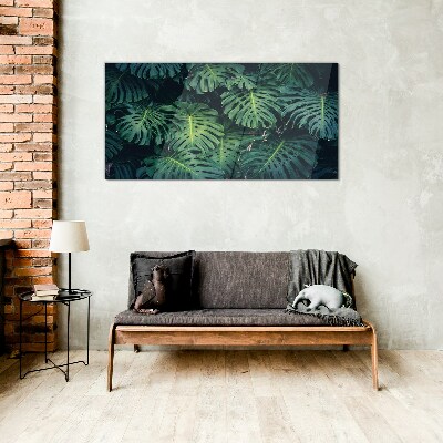 Tablou sticla Verde tropical în frunze de monstera