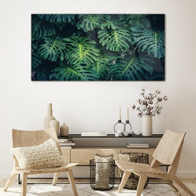 Tablou sticla Verde tropical în frunze de monstera