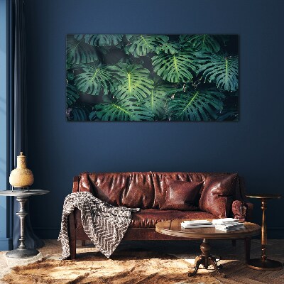 Tablou sticla Verde tropical în frunze de monstera