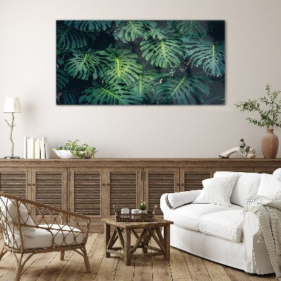 Tablou sticla Verde tropical în frunze de monstera