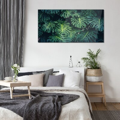 Tablou sticla Verde tropical în frunze de monstera