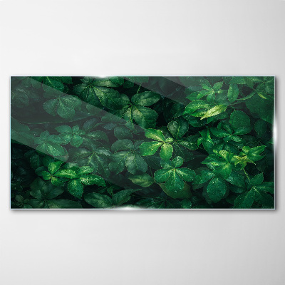 Tablou sticla Desiș verde de frunze