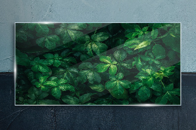 Tablou sticla Desiș verde de frunze