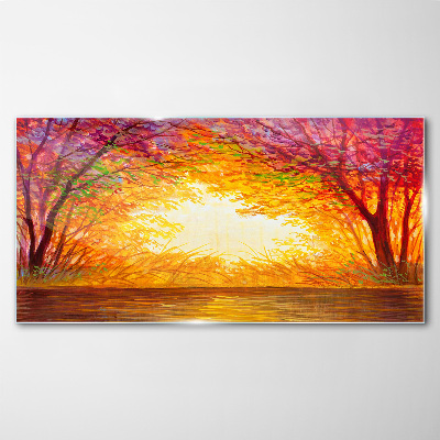 Tablou sticla Apus de soare într-o pădure colorată