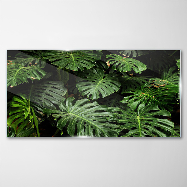 Tablou sticla Frunze tropicale de monstera