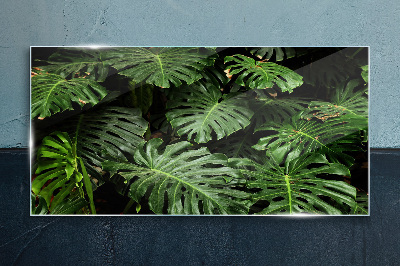 Tablou sticla Frunze tropicale de monstera
