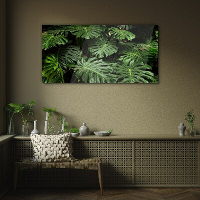Tablou sticla Frunze tropicale de monstera