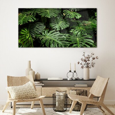 Tablou sticla Frunze tropicale de monstera