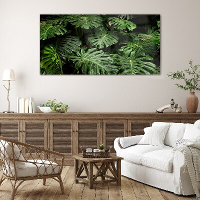 Tablou sticla Frunze tropicale de monstera
