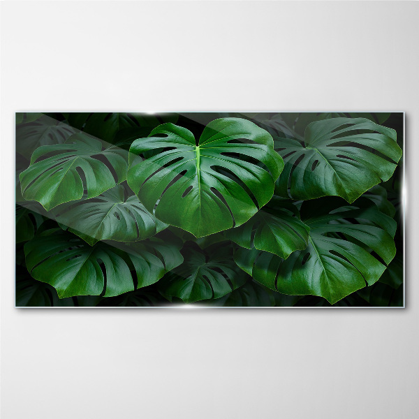 Tablou sticla Simfonia verde a frunzelor de Monstera