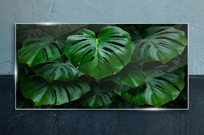 Tablou sticla Simfonia verde a frunzelor de Monstera