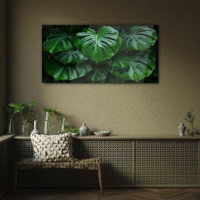 Tablou sticla Simfonia verde a frunzelor de Monstera
