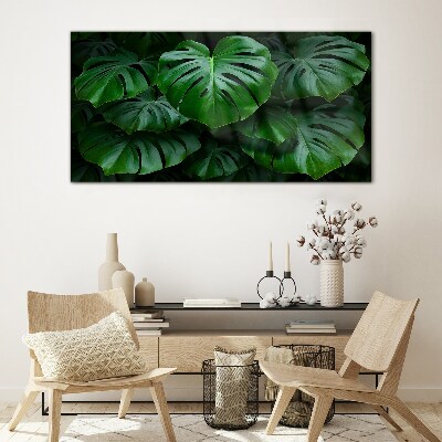 Tablou sticla Simfonia verde a frunzelor de Monstera