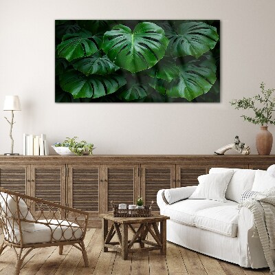 Tablou sticla Simfonia verde a frunzelor de Monstera