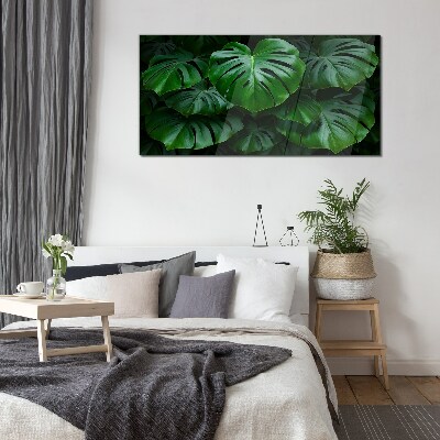 Tablou sticla Simfonia verde a frunzelor de Monstera