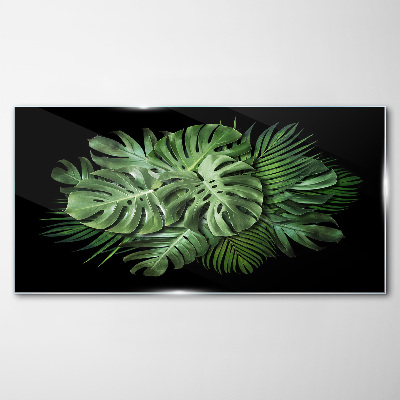Tablou sticla Verde tropical pe fundal negru