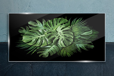 Tablou sticla Verde tropical pe fundal negru