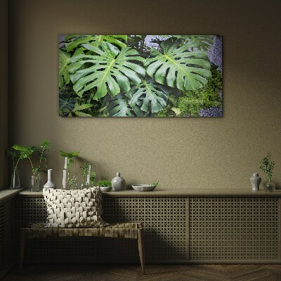Tablou sticla Frunze verzi de monstera în natură