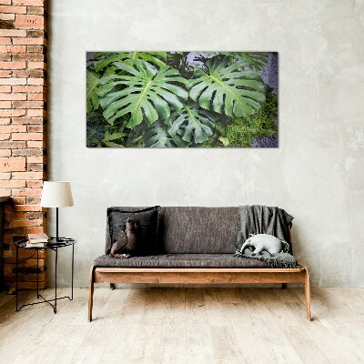 Tablou sticla Frunze verzi de monstera în natură