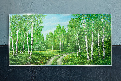 Tablou sticla Pădure verde cu mesteceni albi