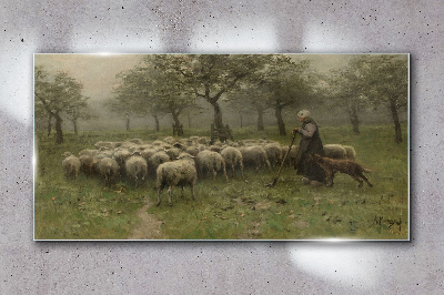 Tablou sticla Ferestre Shepherd Shepherd Shepherd