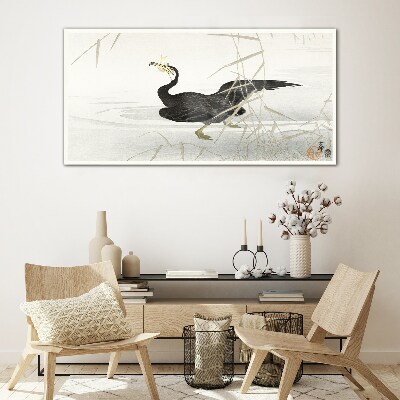 Tablou sticla Cormoran negru printre stuf
