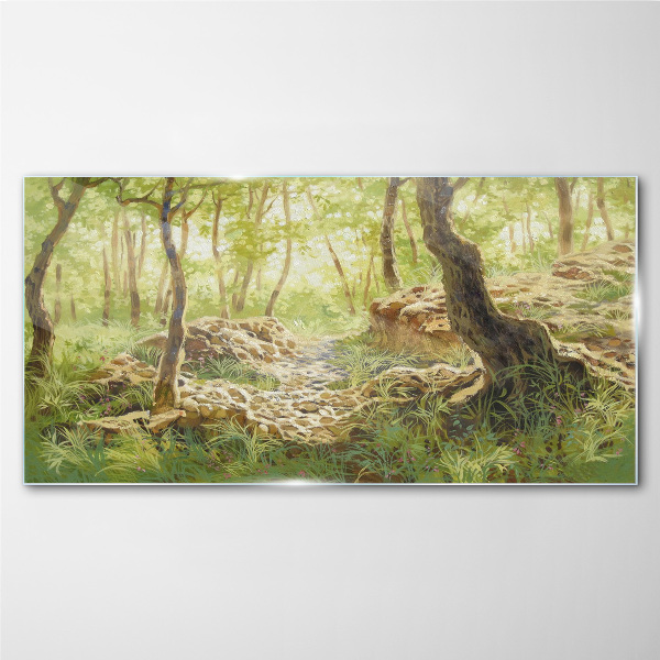 Tablou sticla Peisaj verde de pădure cu pietre