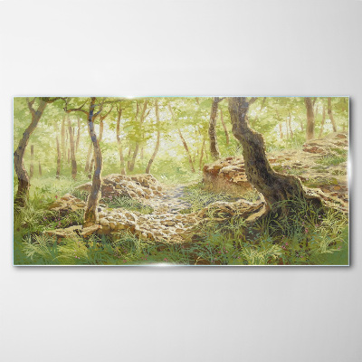 Tablou sticla Peisaj verde de pădure cu pietre